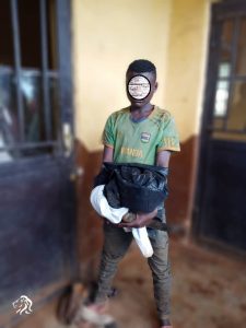 Rusizi:  Yagiye kwiba yitwaje umupanga n’imbwa 2 afatirwa mu cyuho