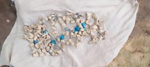 Rutsiro: Yakomerekeje umugore bagiye kumufata bamusangana udupfunyika 95 tw’urumogi
