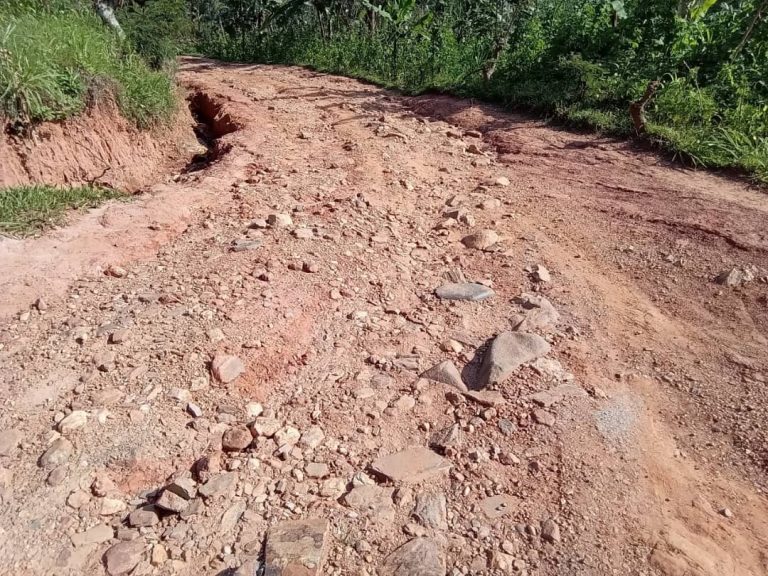 Rutsiro: Bifuza ko umuhanda ubafasha kugera ku ivuriro ukorwa
