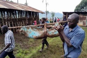 Uganda: 15 bishwe n’inkangu abarenga ijana baburirwa irengero