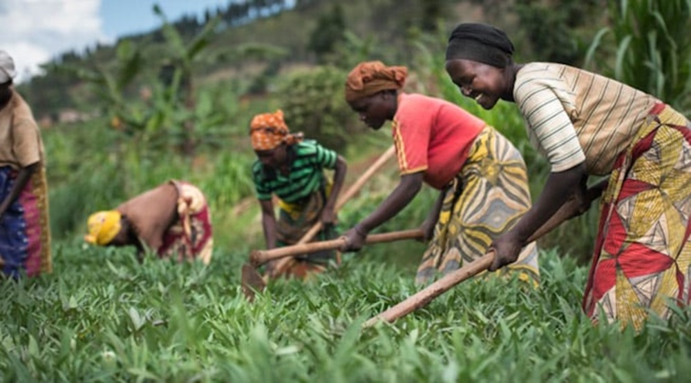 Biteze kuzongera umusaruro kubera ibigo bibongerera ubumenyi
