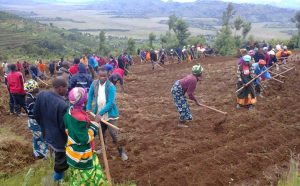 Rutsiro: Abaturage barishimira gahunda yo guhingirana imaze kubahindurira imibereho