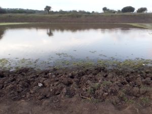 Nyagatare: Bagiye gukina boga mu idamu umwe agwamo arapfa