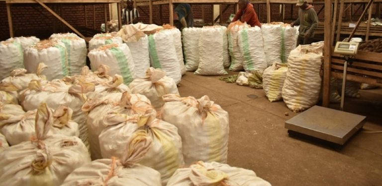 Burera: Bizihije Noheli ibirayi biri ku giciro gito ariko inyama zahenze