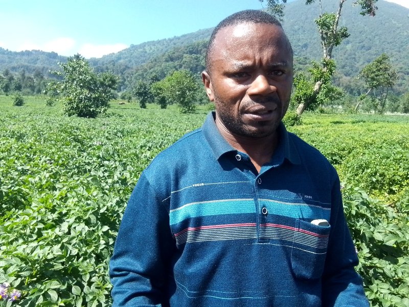 Musanze: Uwahoze ari rushimusi muri Pariki y’Ibirunga yahindutse umuhinzi ntangarugero