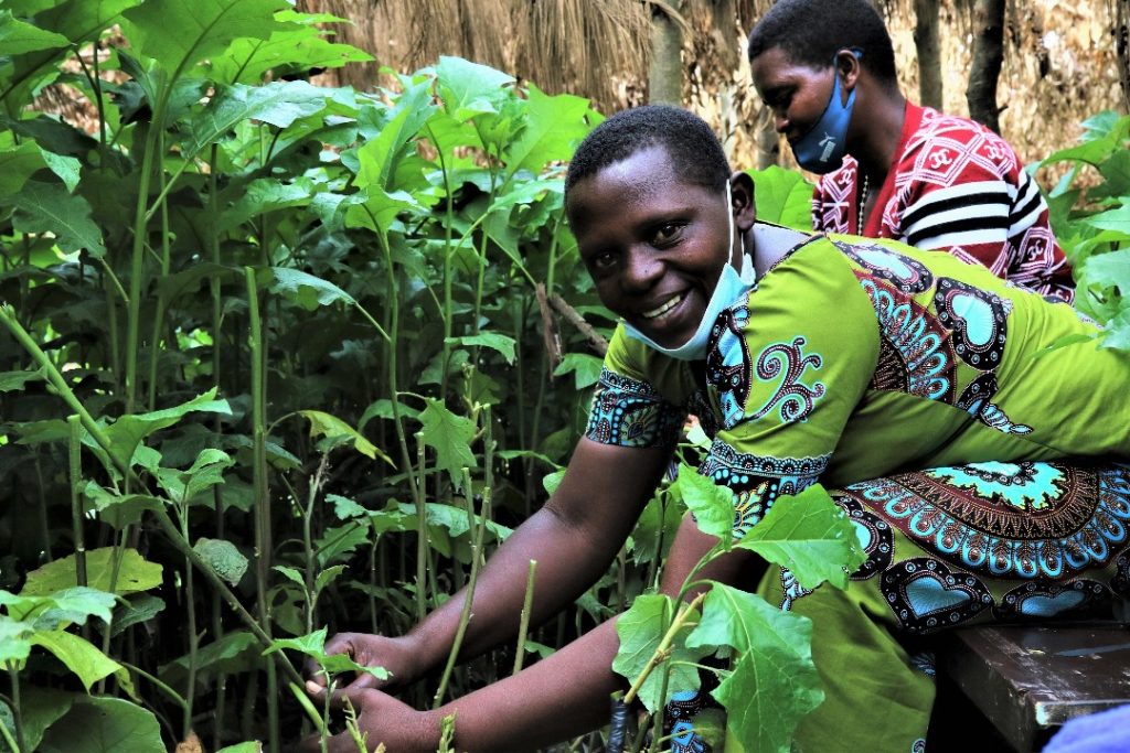 Biteze umusaruro mu buhinzi bwabo babikesheje ikoranabuhanga