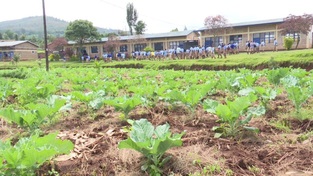 Ibigo by’amashuri byihingira ibigaburirwa abanyeshuri bizigama miliyoni 7 ku gihembwe