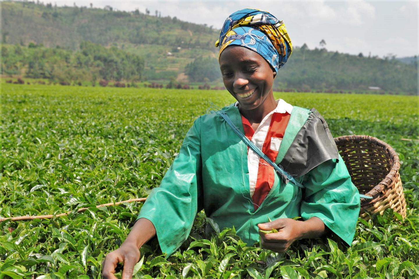 Ubukungu bw’u Rwanda bwazamutseho 8,1% mu gihembwe cya gatatu cya 2024