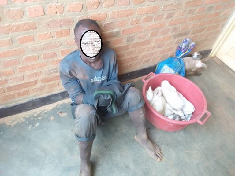 Rutsiro: Yafatanywe inkwavu 5 n’ingurube 1 yibye avuga ko yashakaga ay’iminsi mikuru