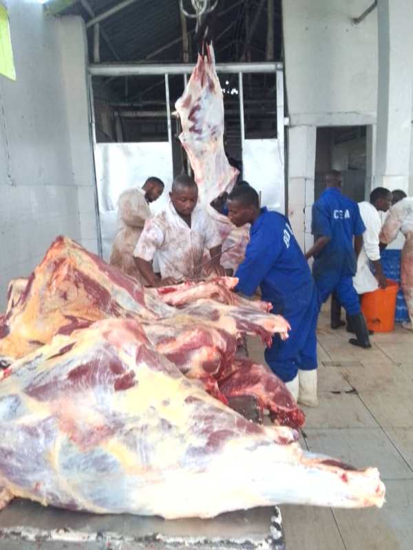 Musanze: Inka zisaga 160 zabazwe hizihizwa Noheli n’Ubunani 2025