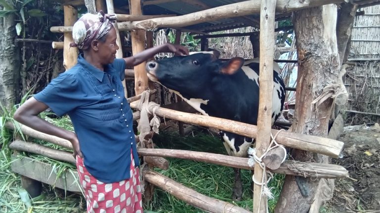 Karongi: Girinka yamufashije kugira inzu ya miliyoni 10 anishyurira abana amashuri