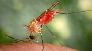 Malariya irimo kwiyongera mu Rwanda -Minisitiri Dr Nsanzimana