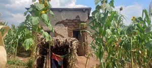 Nyanza: Bafitiye ubwoba indwara ziterwa n’umwanda kubera ko nta bwiherero bafite
