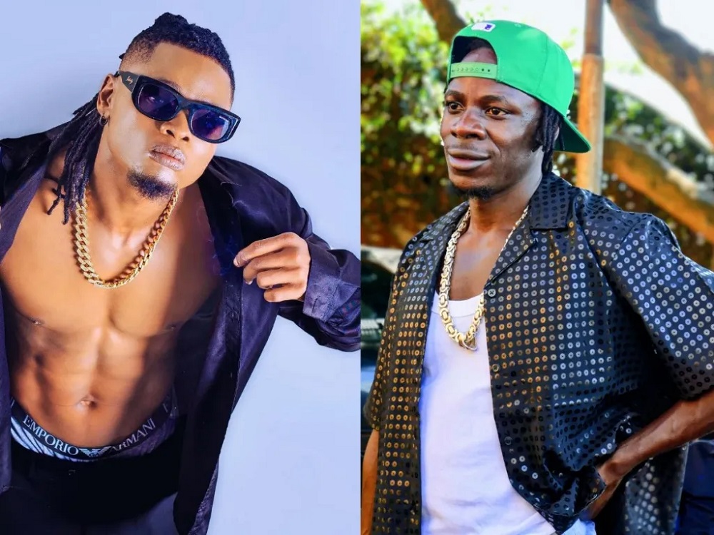 Pallaso na Alien Skin bararebana ay’ingwe