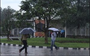 Meteo Rwanda yatangaje ko mu itumba hazagwa imvura nkeya ugereranyije n’iyari isanzwe