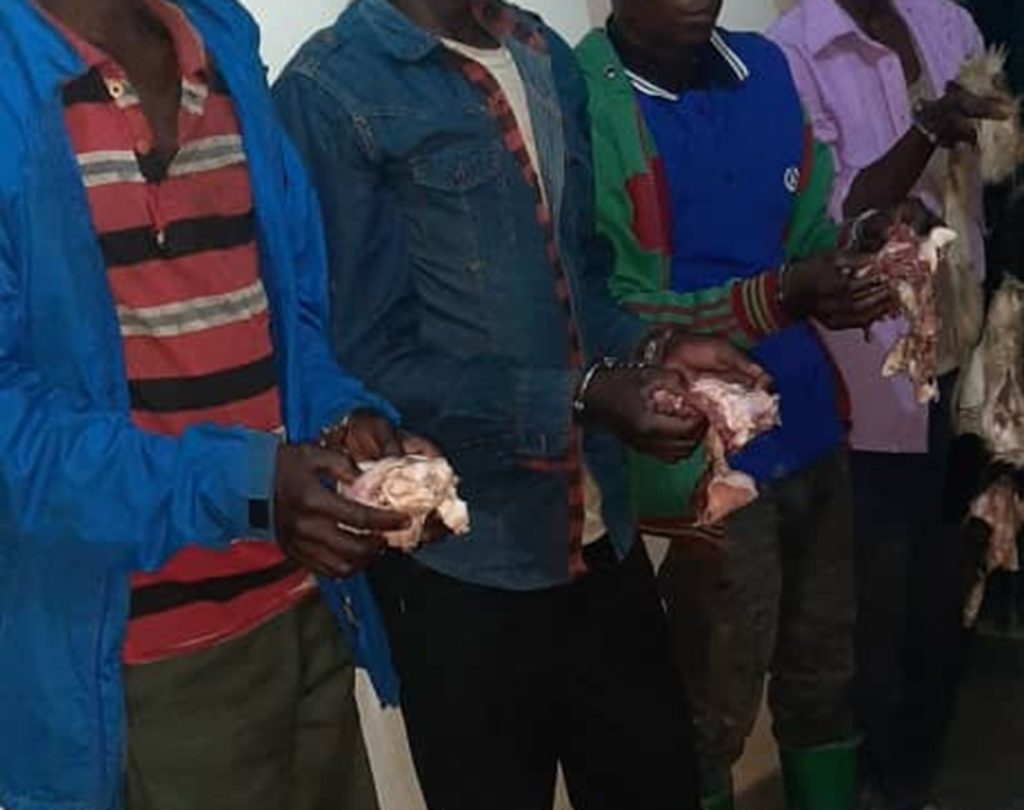Rutsiro: Abagabo 4 bafatanywe mu ngo zabo inyama z’inka bataburuye