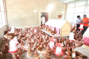 Nyaruguru: Ubworozi bakuye ku giceri cy’ijana bubahemba ibihumbi 50 ku kwezi