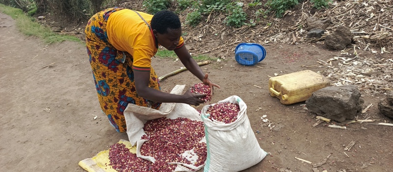 Musanze: Abaturage babangamiwe n’abamamyi babahenda