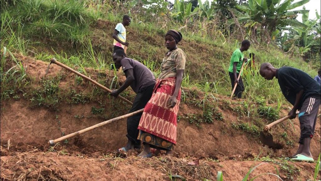 Muhanga: Abahinzi barahinga batanguranwa n’imvura irimo kugwa nabi