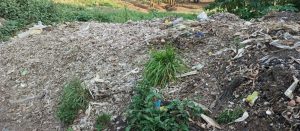 Burera:  Abaturiye Kanyirarebe babangamiwe n’ibishingwe barifuza guhabwa ikimpoteri 