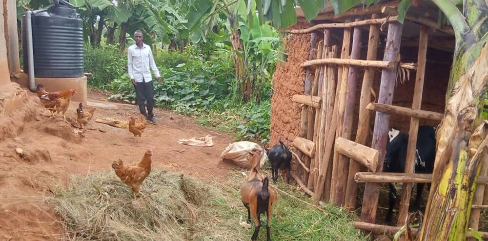 Gisagara: Ubworozi bw’amatungo magufi bwababereye akabando k’iminsi