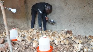 Gisagara: Ubworozi bw’amatungo magufi bwafashije guhangana n’imirire mibi
