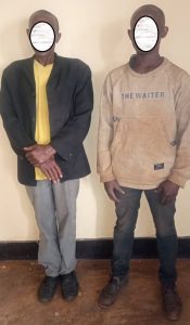 Rusizi: Babiri bafashwe mu gicuku batema ibiti mu ishyamba ry’umuturage