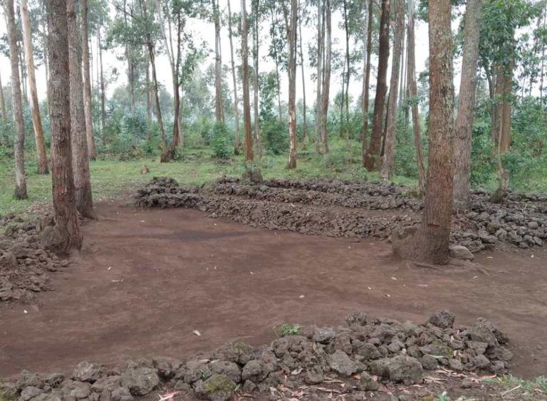 Musanze: &nbsp;Abasengera Ndabirambiwe babangamira amashyamba y’abaturage