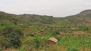 Ruhango: Abanyeshuri basubiramo amasomo bacanye itoroshi kuko nta umuriro  