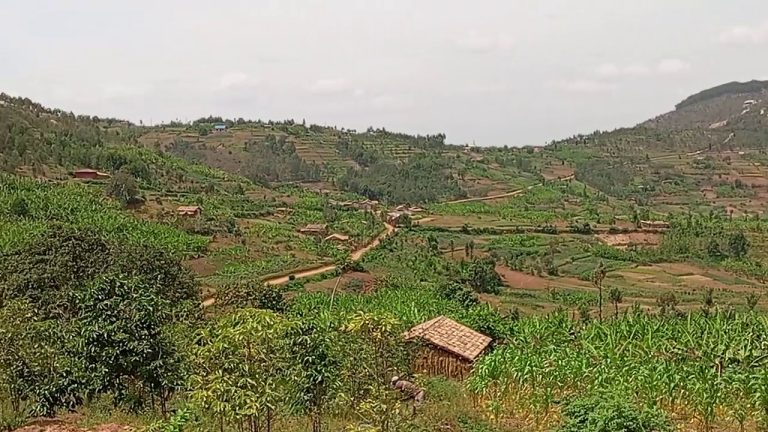 Ruhango: Abanyeshuri basubiramo amasomo bacanye itoroshi kuko nta umuriro  