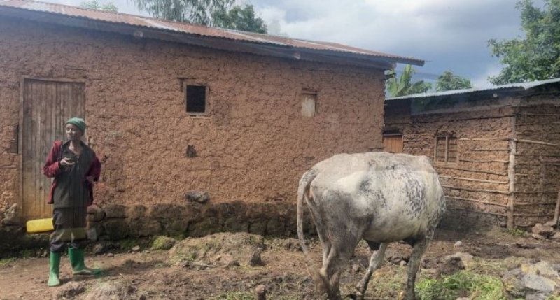 Umurenge wa Musanze wugarijwe n’ubujura butuma bararana n’amatungo