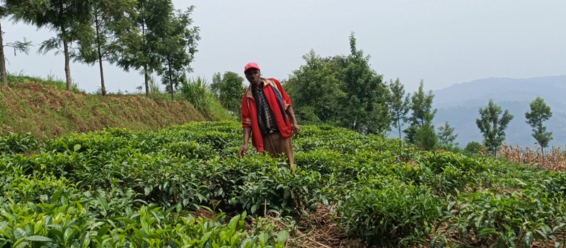Gicumbi: Uwahoze mu ngabo z’u Rwanda yishimira ibikorwa yakuye mu mperekeza