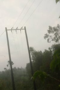 Rusizi: Umugore watemaga igitoki yishwe n’umuriro w’amashanyarazi