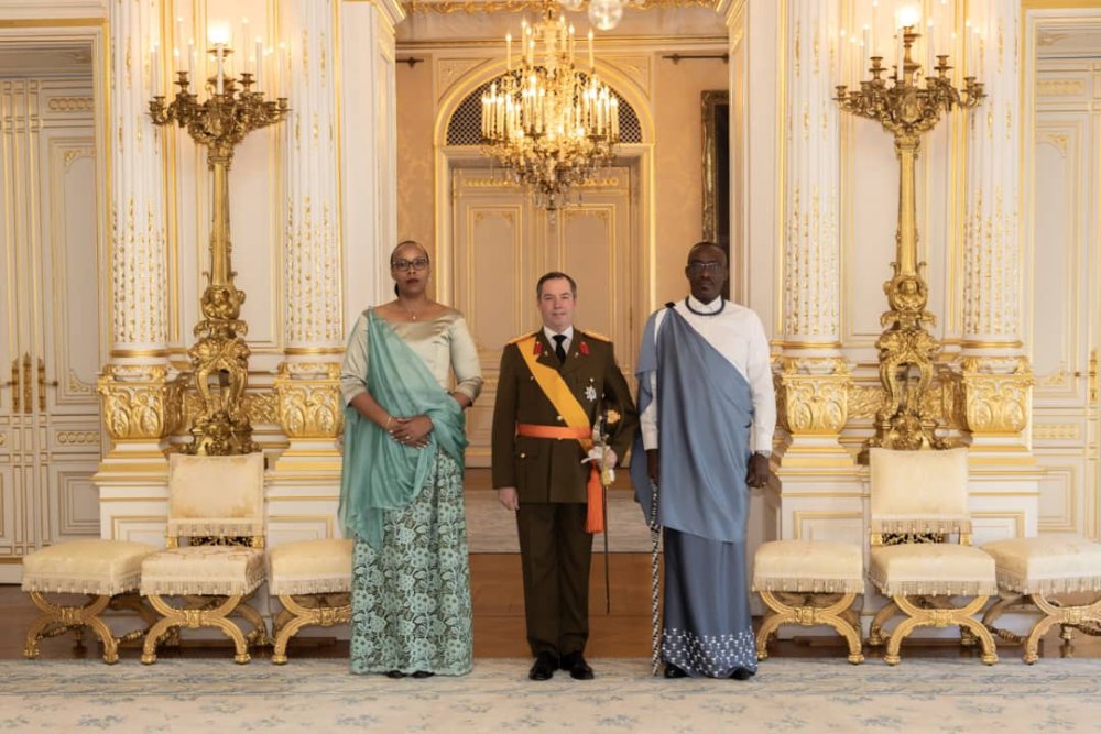Amb Mimosa yashyikirije Umwami wa Luxembourg impapuro zimwemerera guhagararirayo u Rwanda