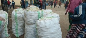 Burera: Abahinzi b’ibitunguru barataka kubura isoko ry’umusaruro wabo