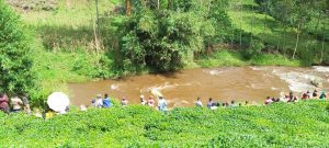 Nyamasheke: Birakekwa ko yiyahuye  kubera nyina umuziza gukundwa na se