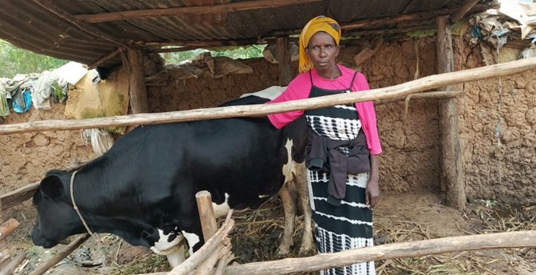 Musanze: Abarokotse Jenoside borojwe inka baziburira ubwatsi
