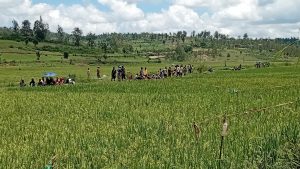 Ruhango: Hafashwe 3 bakekwaho urupfu rw’uwasanzwe mu gishanga warindaga ibisheke