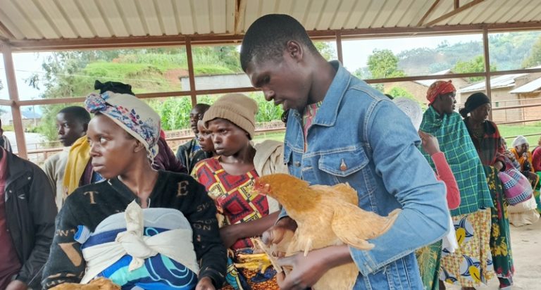 Ngororero: Babangamiwe n’abacuruzi b’amatungo bayatwara mu modoka z’abagenzi