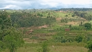 Muhanga: Bamaze imyaka itatu bategereje ingurane amaso yaheze mu kirere