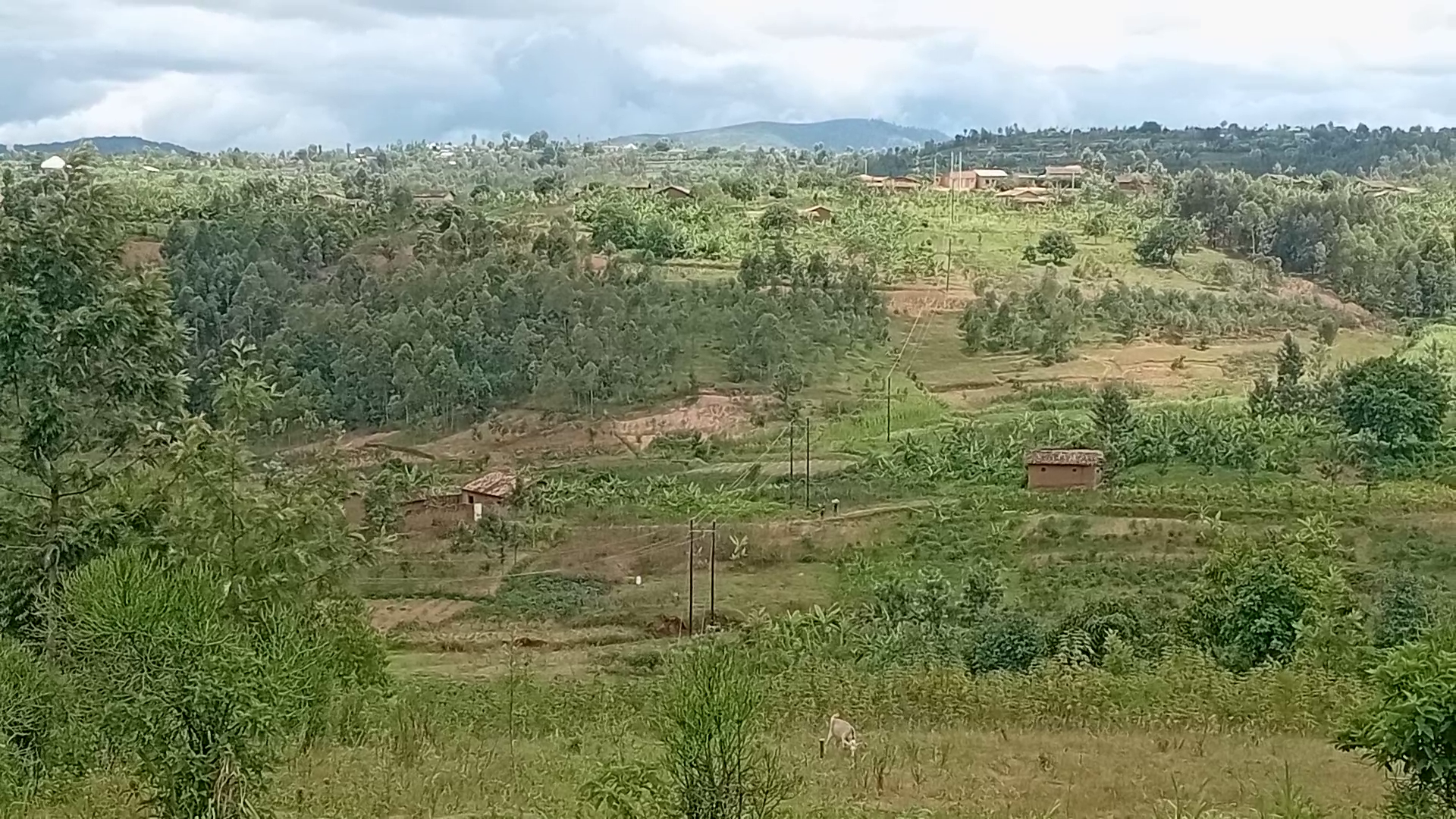 Muhanga: Bamaze imyaka itatu bategereje ingurane amaso yaheze mu kirere