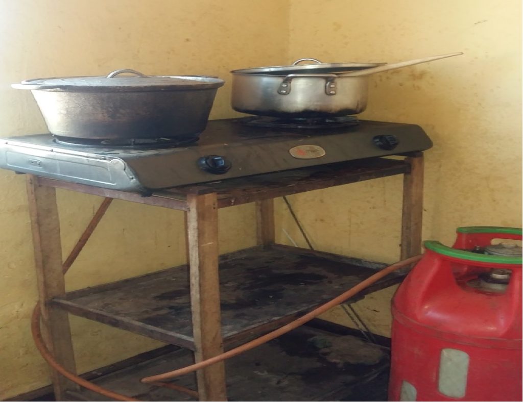 Ingo zikoresha ibicanwa bitangiza ibidukikije zigeze kuri 5% zivuye kuri 1% mu 2017