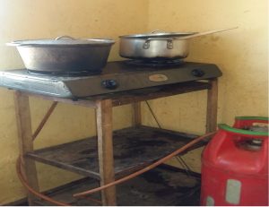 Ingo zikoresha ibicanwa bitangiza ibidukikije zigeze kuri 5% zivuye kuri 1% mu 2017
