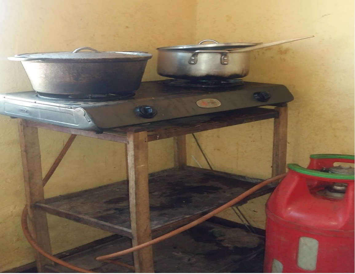Ingo zikoresha ibicanwa bitangiza ibidukikije zigeze kuri 5% zivuye kuri 1% mu 2017