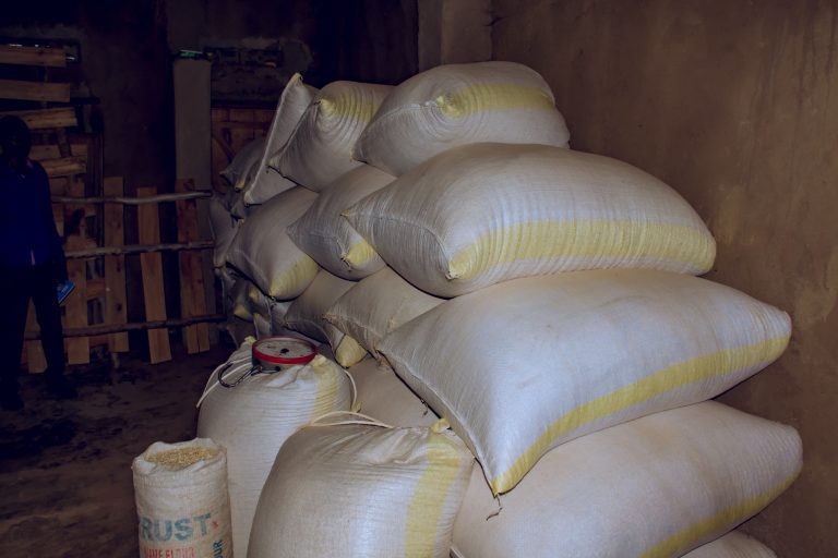 Nyagatare: Byinshi ku Mudugudu wizigama imyaka utakibamo inzara&nbsp;