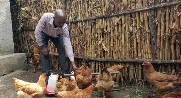 Burera: Yahawe inkoko 10 zikuba 3 mu mezi 3