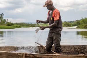 Kayonza: Ubworozi bw’amafi bwabafashije kurwanya imirire mibi