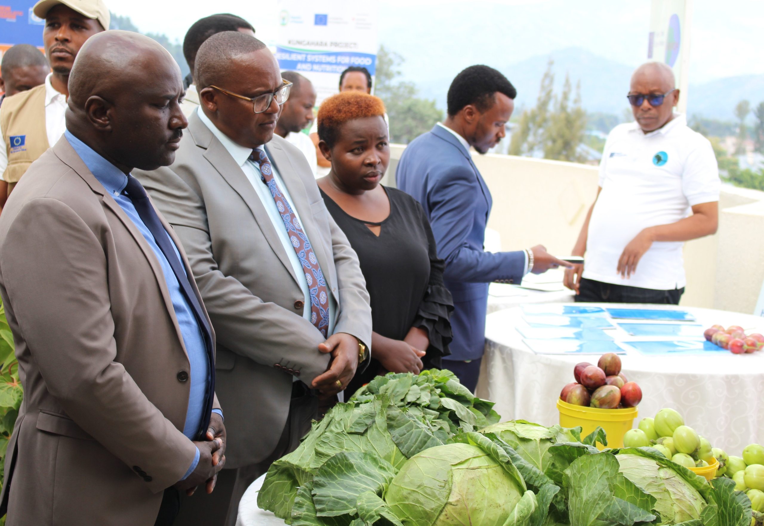 Amajyaruguru: Ikibazo cy’umusaruro w’imboga wangirikaga kigiye kuvugutirwa umuti