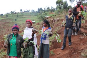 Gicumbi: Imyumvire yarahindutse ifasha guhangana n’imihindagurikire y’ibihe