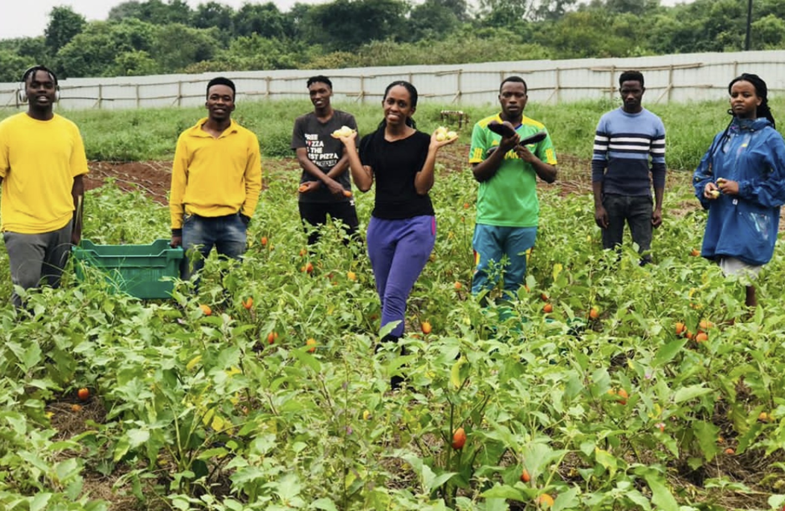 Urubyiruko rw’u Rwanda miliyoni rugiye gufashwa kwinjira mu buhinzi
